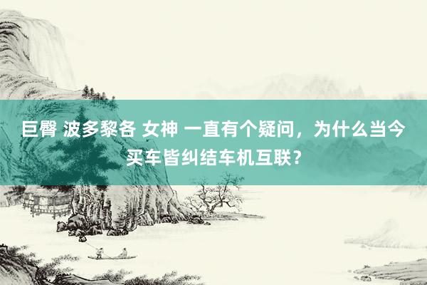 巨臀 波多黎各 女神 一直有个疑问，为什么当今买车皆纠结车机互联？