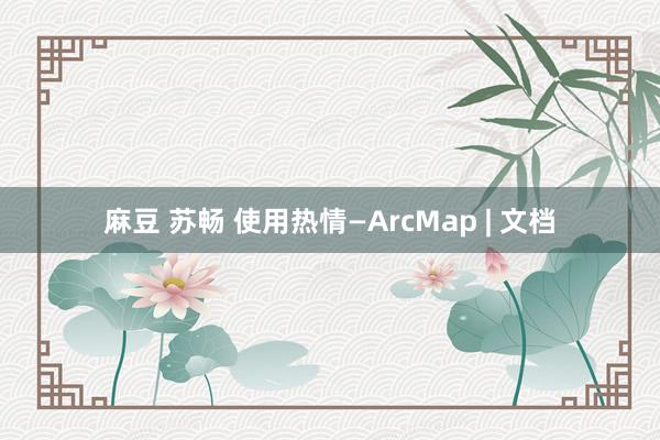 麻豆 苏畅 使用热情—ArcMap | 文档