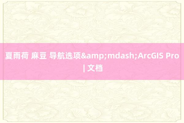 夏雨荷 麻豆 导航选项&mdash;ArcGIS Pro | 文档