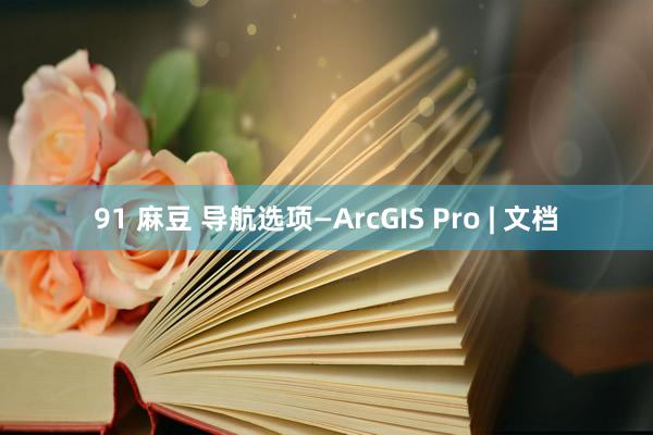 91 麻豆 导航选项—ArcGIS Pro | 文档