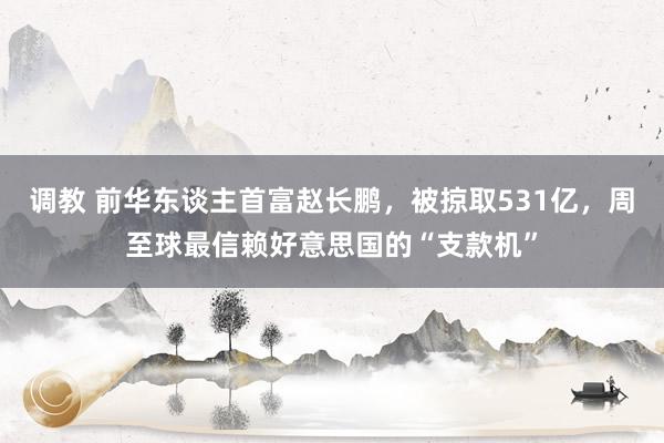 调教 前华东谈主首富赵长鹏，被掠取531亿，周至球最信赖好意思国的“支款机”