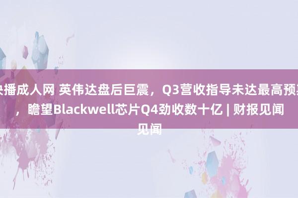 快播成人网 英伟达盘后巨震，Q3营收指导未达最高预期，瞻望Blackwell芯片Q4劲收数十亿 | 财报见闻