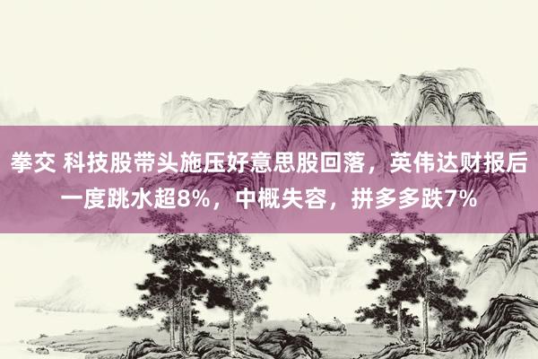 拳交 科技股带头施压好意思股回落，英伟达财报后一度跳水超8%，中概失容，拼多多跌7%