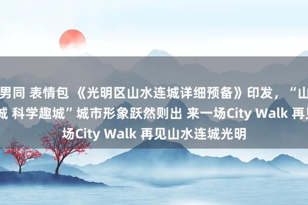 男同 表情包 《光明区山水连城详细预备》印发，“山水连城 人烟漫城 科学趣城”城市形象跃然则出 来一场City Walk 再见山水连城光明