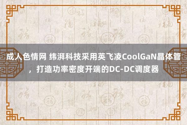 成人色情网 纬湃科技采用英飞凌CoolGaN晶体管，打造功率密度开端的DC-DC调度器