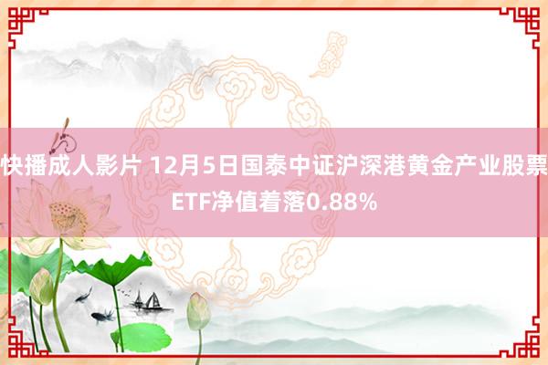 快播成人影片 12月5日国泰中证沪深港黄金产业股票ETF净值着落0.88%