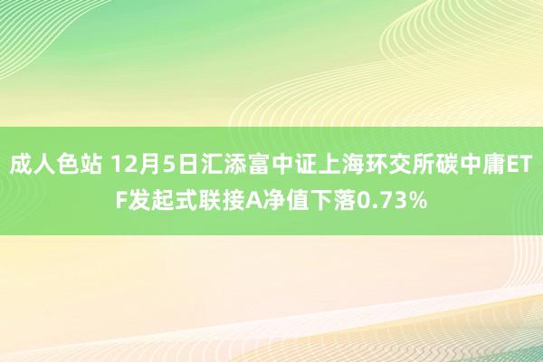成人色站 12月5日汇添富中证上海环交所碳中庸ETF发起式联接A净值下落0.73%
