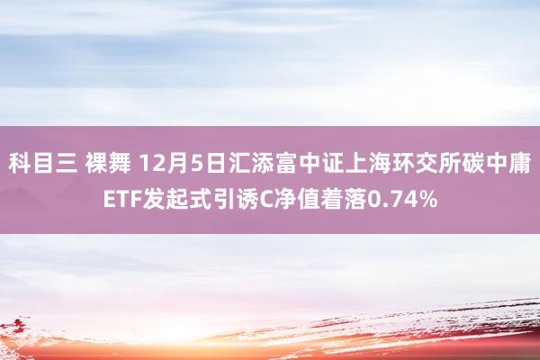 科目三 裸舞 12月5日汇添富中证上海环交所碳中庸ETF发起式引诱C净值着落0.74%