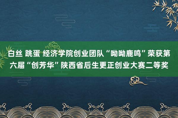 白丝 跳蛋 经济学院创业团队“呦呦鹿鸣”荣获第六届“创芳华”陕西省后生更正创业大赛二等奖