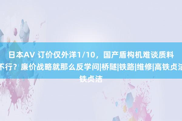 日本AV 订价仅外洋1/10，国产盾构机难谈质料不行？廉价战略就那么反学问|桥隧|铁路|维修|高铁贞洁