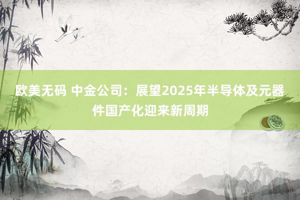 欧美无码 中金公司：展望2025年半导体及元器件国产化迎来新周期