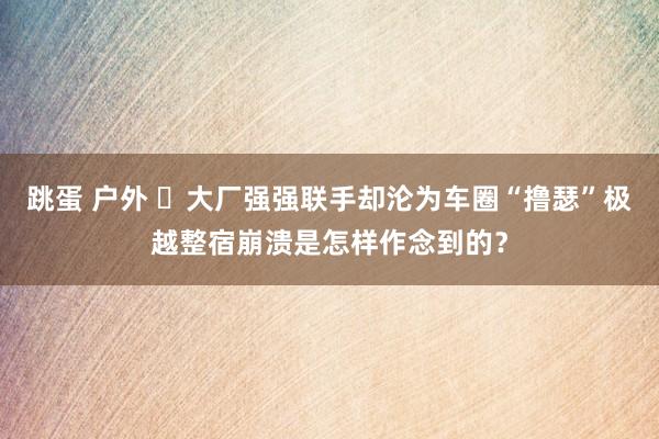 跳蛋 户外 ​大厂强强联手却沦为车圈“撸瑟”极越整宿崩溃是怎样作念到的？