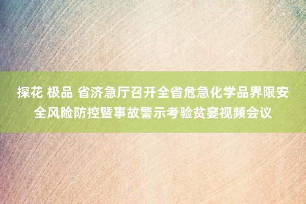 探花 极品 省济急厅召开全省危急化学品界限安全风险防控暨事故警示考验贫窭视频会议