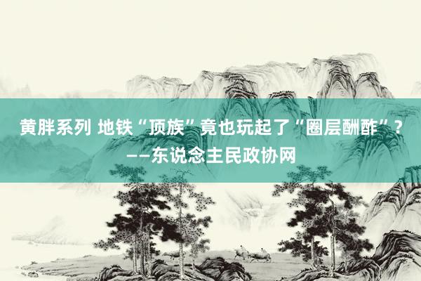 黄胖系列 地铁“顶族”竟也玩起了“圈层酬酢”？——东说念主民政协网