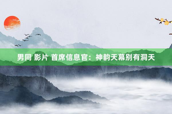 男同 影片 首席信息官：神韵天幕别有洞天