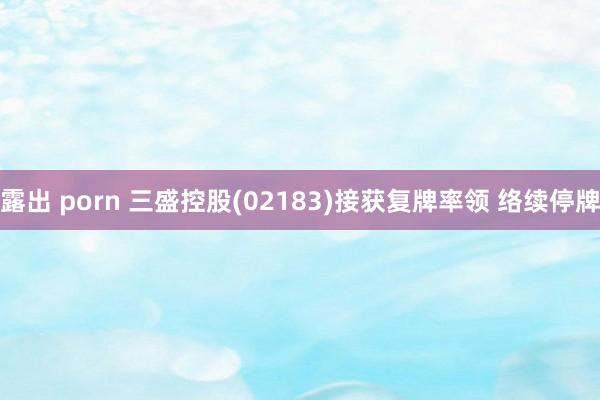 露出 porn 三盛控股(02183)接获复牌率领 络续停牌