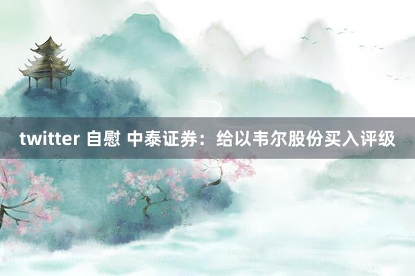 twitter 自慰 中泰证券：给以韦尔股份买入评级