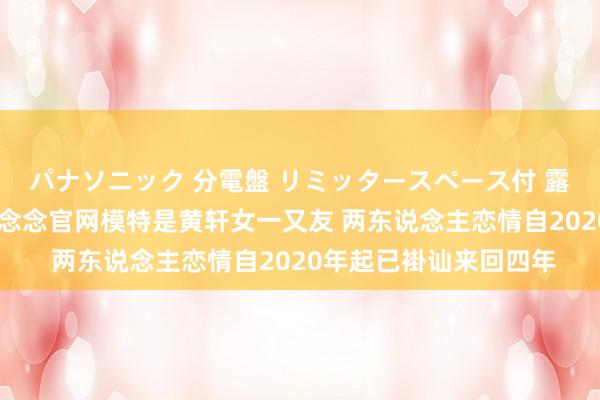 パナソニック 分電盤 リミッタースペース付 露出・半埋込両用形 雅念念官网模特是黄轩女一又友 两东说念主恋情自2020年起已褂讪来回四年