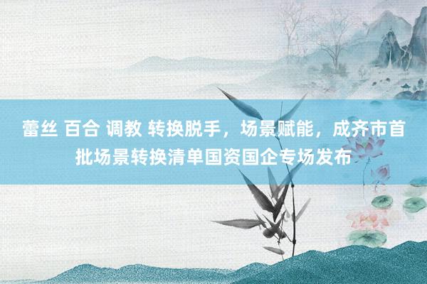 蕾丝 百合 调教 转换脱手，场景赋能，成齐市首批场景转换清单国资国企专场发布