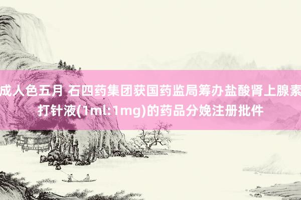 成人色五月 石四药集团获国药监局筹办盐酸肾上腺素打针液(1ml:1mg)的药品分娩注册批件